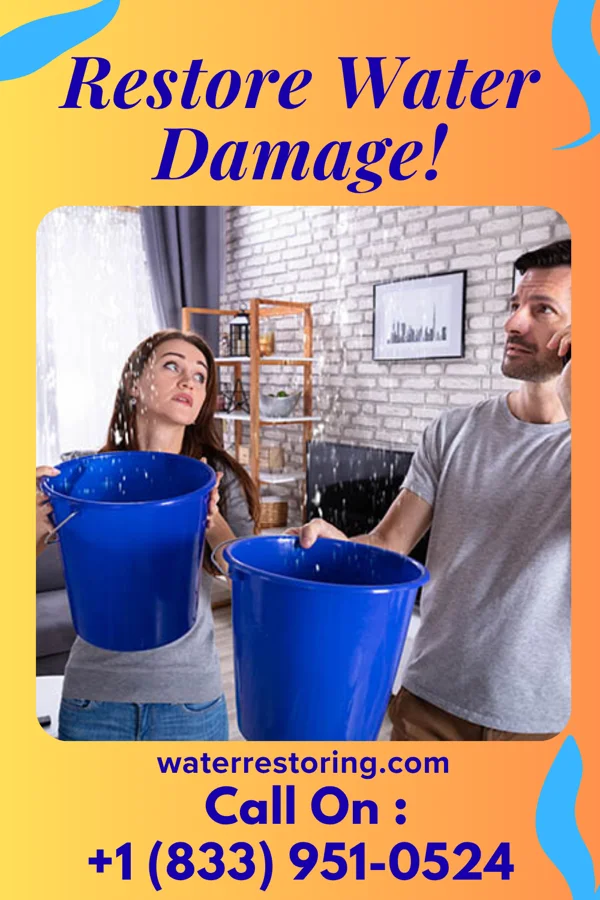 water restoration Superior Recovery Force Brooksville