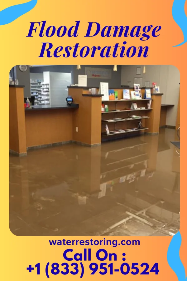 Flood Damage Restoration in Brooksville, MS