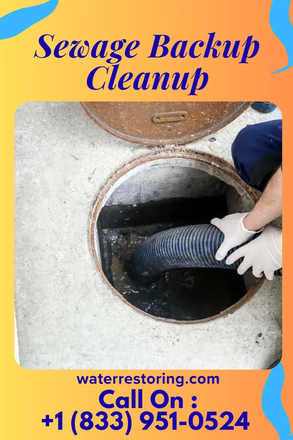 Sewage Backup Cleanup in Brooksville, MS